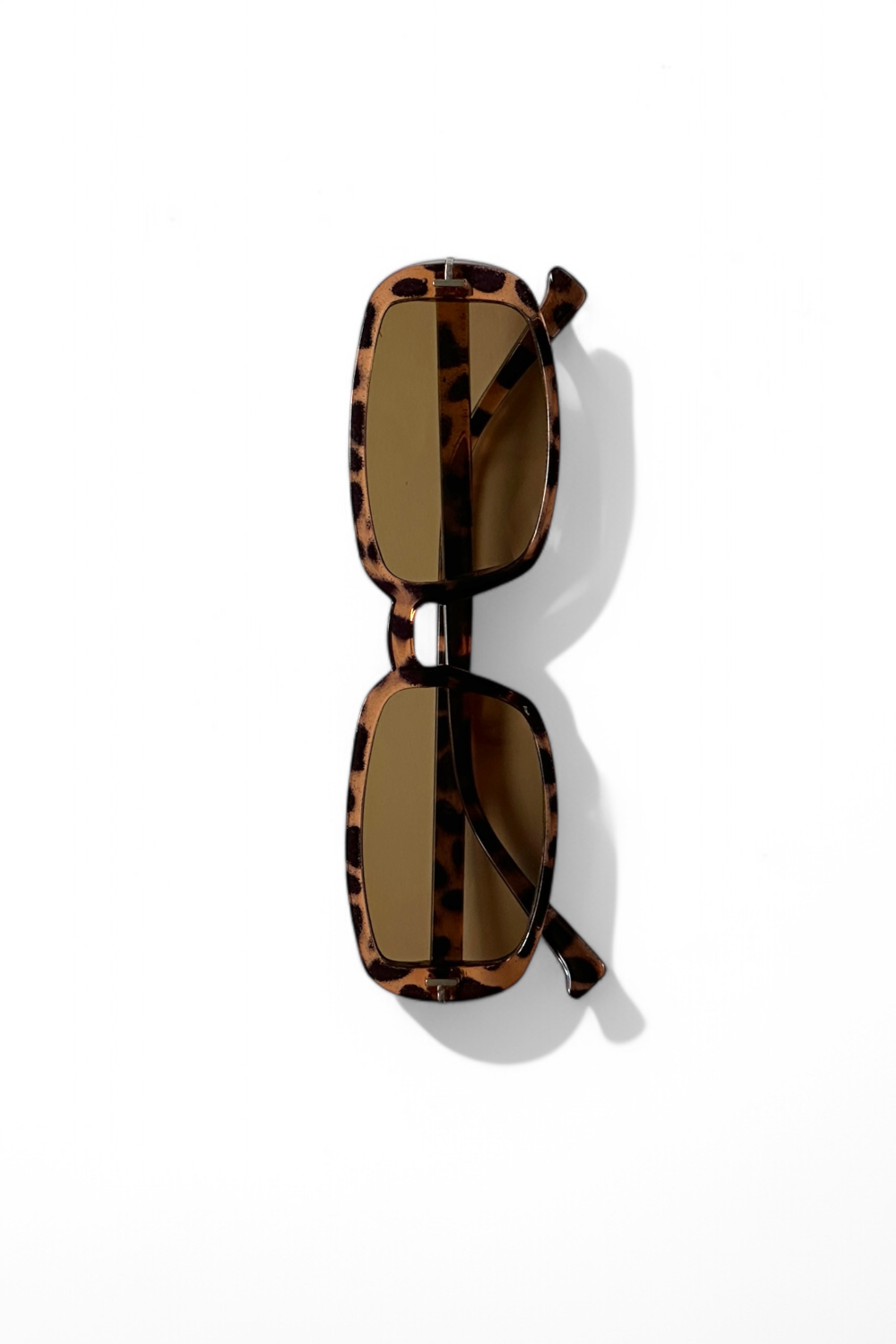 Karry Oval  Yeni Sezon Kadın Güneş Gözlüğü / Ren Eyewear